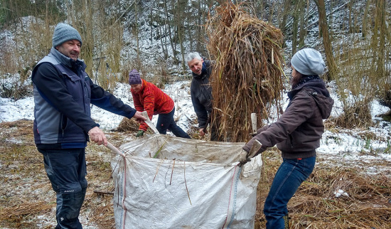 Arbeitseinsatz am Steinbruch Wolkenburg Foto: Thomas Polster