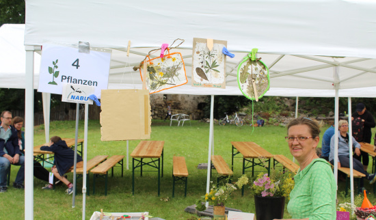 Simone Kühne hat zum 3. Treffen der Jungen Naturwächter im Landkreis Zwickau den Vereinsstand unseres Regionalverbandes betreut. Sie vermittelte den Kindern, anhand mitgebrachter Exemplare, Fachwissen zu heimischen Wiesenpflanzen. Im Anschluss konnten die Kinder das erworbene Wissen bei einem Quiz unter Beweis stellen. Foto: Thomas Polster