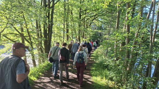 Die Teilnehmenden unserer Naturkundlichen Exkursion auf dem Naturlehrpfad am Großen Teich. Foto: Ralf Küttner