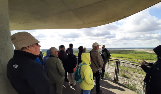 Blick in die Ferne Foto: Ralf Küttner